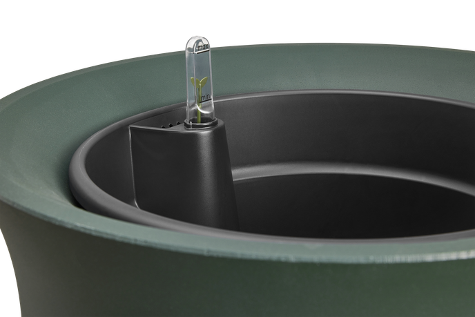 june tulip 40cm emerald green